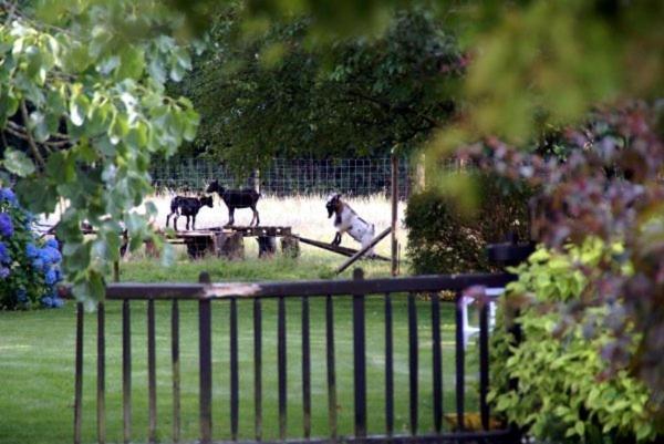 Les Pieds Dans L'Herbe Bed & Breakfast Rosporden Exterior photo