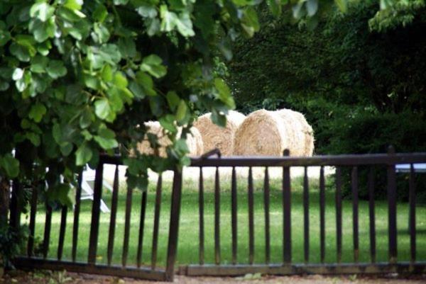 Les Pieds Dans L'Herbe Bed & Breakfast Rosporden Exterior photo