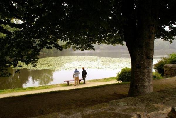 Les Pieds Dans L'Herbe Bed & Breakfast Rosporden Exterior photo